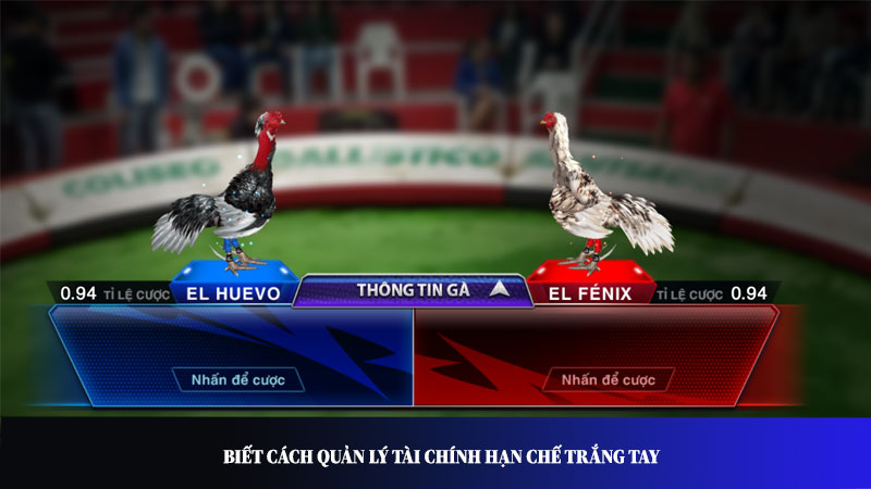 Biết cách quản lý tài chính hạn chế trắng tay
