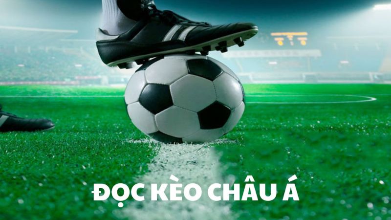 Kèo châu Á được bet thủ lựa chọn đông đảo tại Vinbet