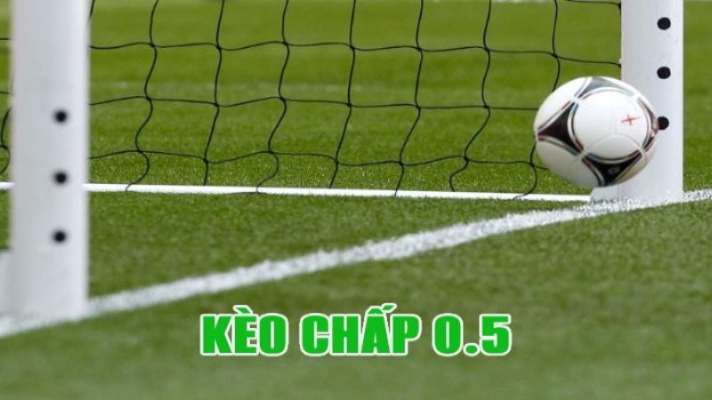 Cách đọc kèo bóng đá chấp 0.5 cần người chơi thật cẩn thận