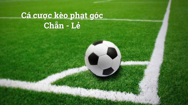 Kèo chẵn lẻ có cơ hội ăn thưởng 50%