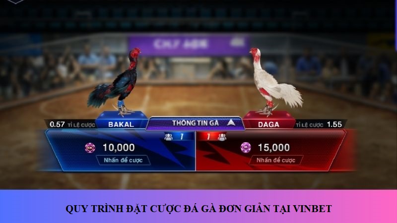 Đơn giản khi đặt cược đá gà cựa dao