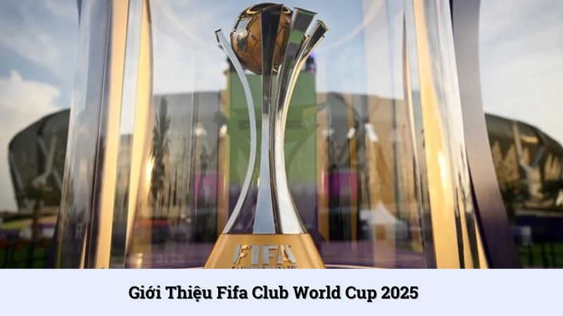 Fifa Club World Cup 2025 là giải đấu bóng đá hàng đầu thế giới