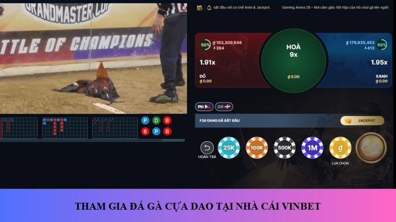 Nên tham gia đá gà cựa dao Vinbet
