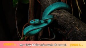Nằm Mơ Thấy Nhiều Rắn Đánh Đề Con Gì