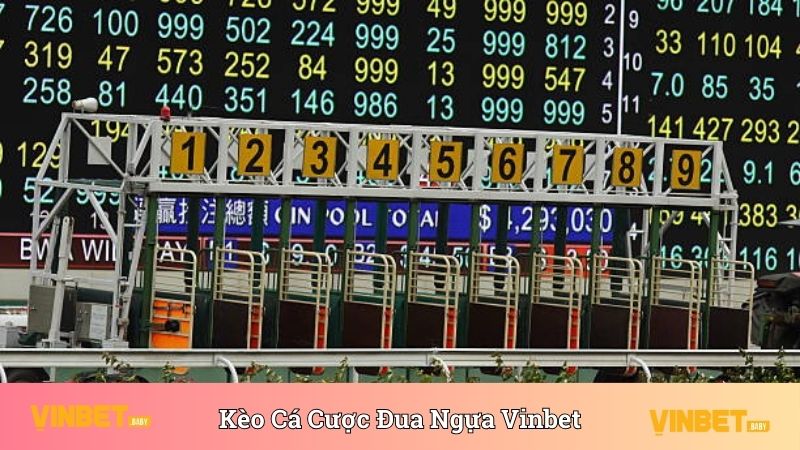 Kèo cá cược đua ngựa Vinbet đa dạng và xanh chín