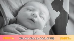 Nằm Mơ Thấy Mình Sinh Con Đánh Số Mấy