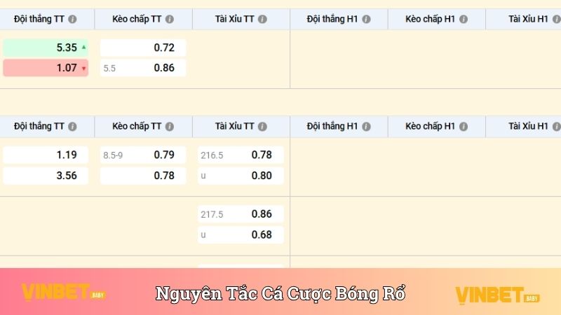 Nguyên tắc tham gia cá cược bóng rổ được quy định rõ ràng 