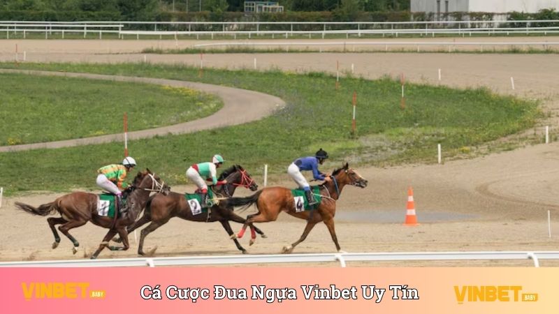 Tham gia cá cược đua ngựa uy tín tại nhà cái Vinbet 